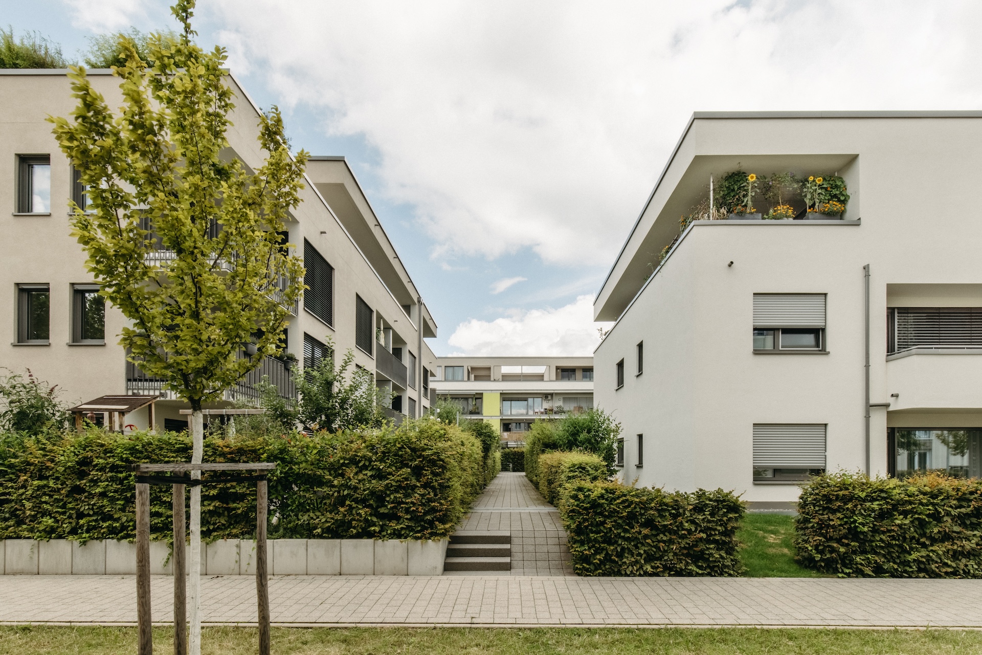 axmann-rottler-kopfarchitekten-fessenbacherstr_008